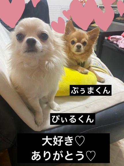 カラフルネイルズ/キャンメイク/マニキュアを使ったクチコミ(7枚目)