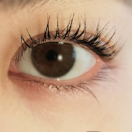 マスカラ ロング/3650/マスカラを使ったクチコミ(8枚目)