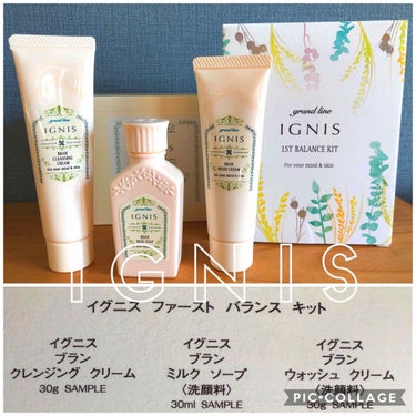 ブラン ウォッシュ クリーム/IGNIS/その他洗顔料を使ったクチコミ（1枚目）