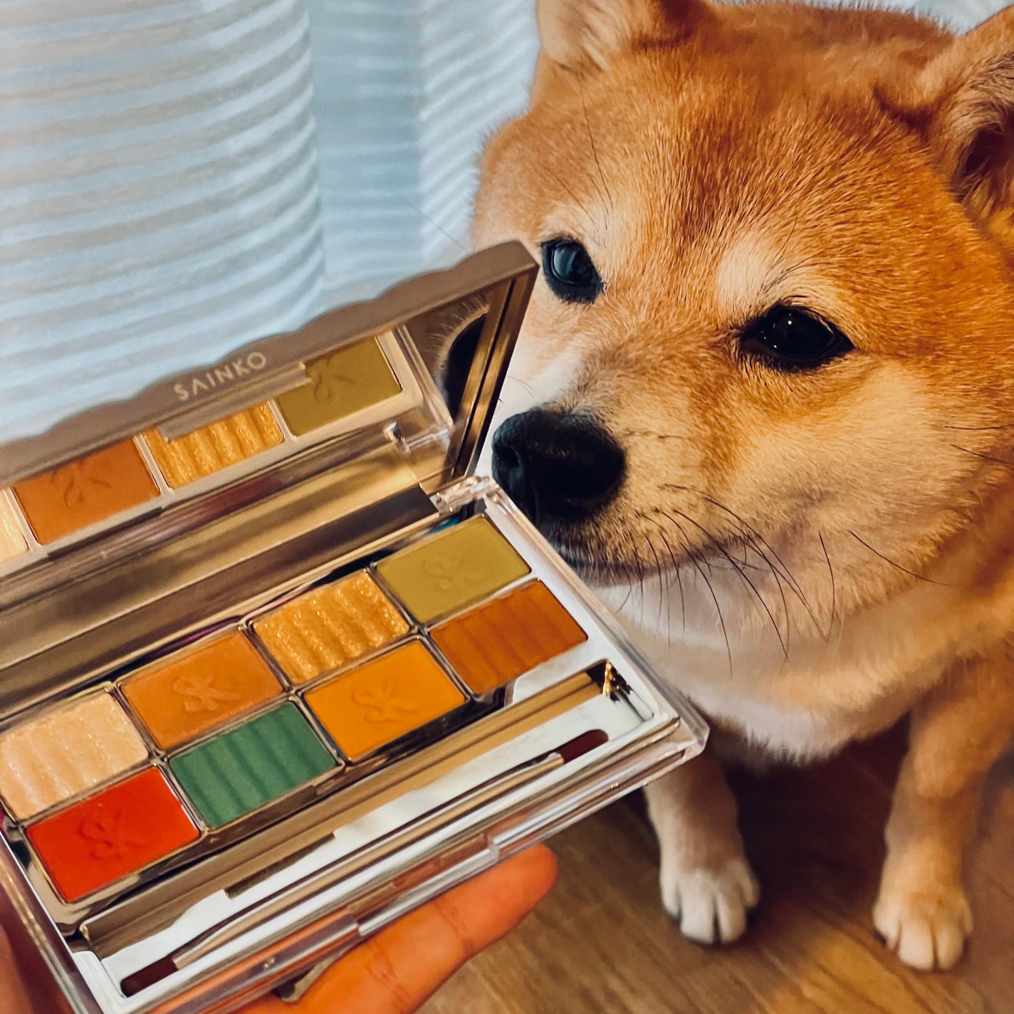 SAINKO ベルベットアイシャドウパレット/SAINKO/アイシャドウパレットを使ったクチコミ(1枚目)