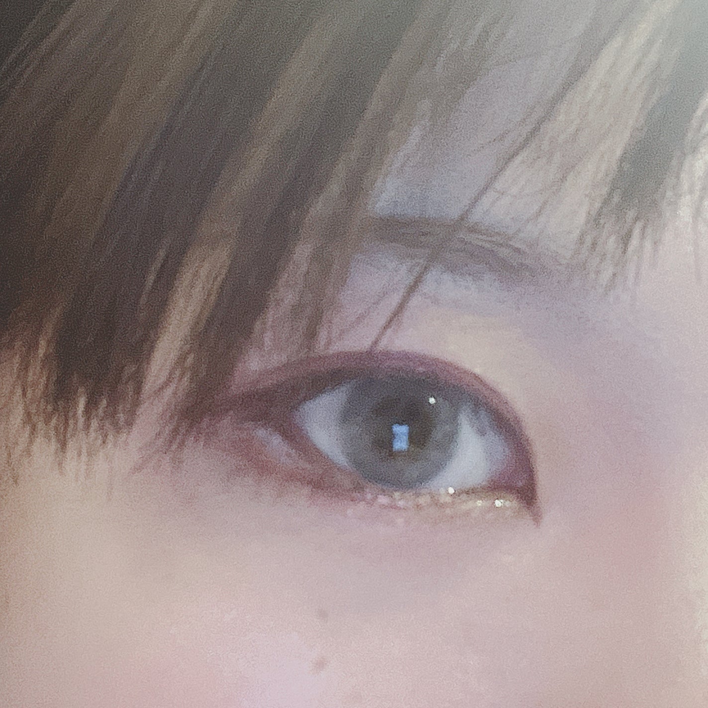 N’s COLLECTION 1day/N’s COLLECTION/ワンデー(1DAY)カラコンを使ったクチコミ(9枚目)