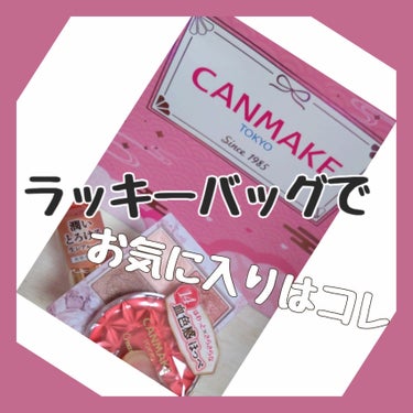 キャンメイク ラッキーバッグ/キャンメイク/その他キットセットを使ったクチコミ（1枚目）