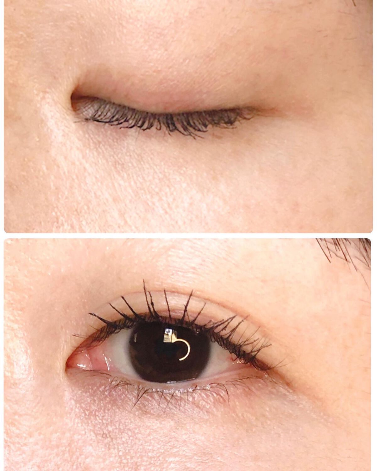 ザ マスカラ ベース/ANNA SUI/マスカラ下地を使ったクチコミ（3枚目）