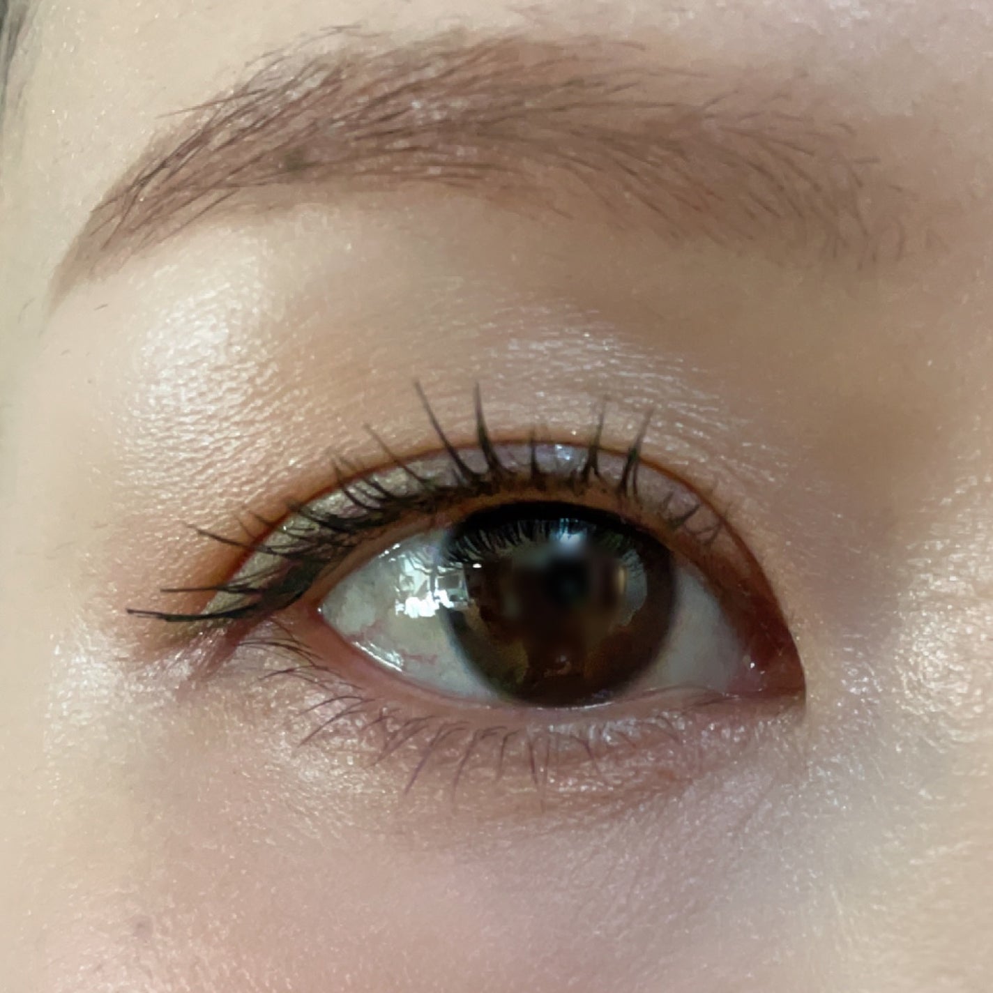 インテレクチュアルリクイドアイライナーN/LUNASOL/リキッドアイライナーを使ったクチコミ(1枚目)