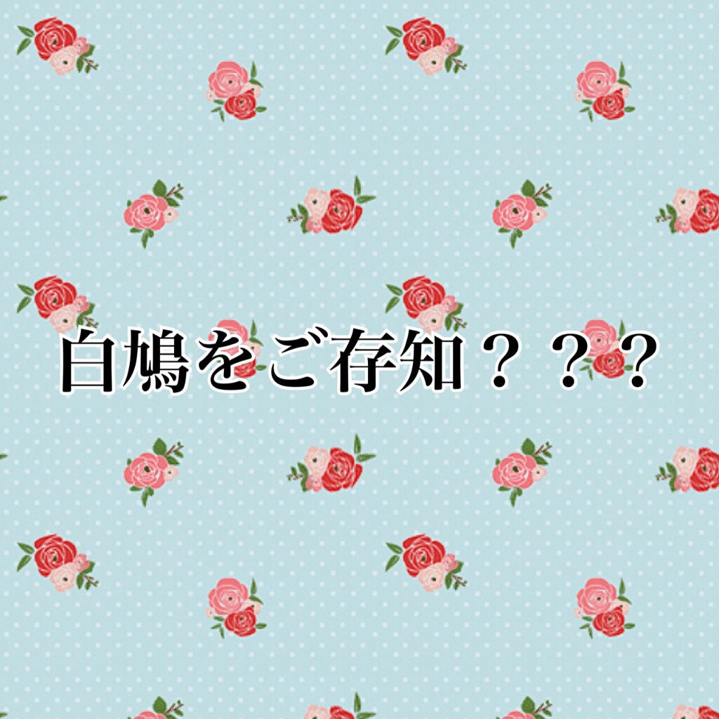 桃ブラ/BRADELIS New York/ナイトブラを使ったクチコミ(1枚目)