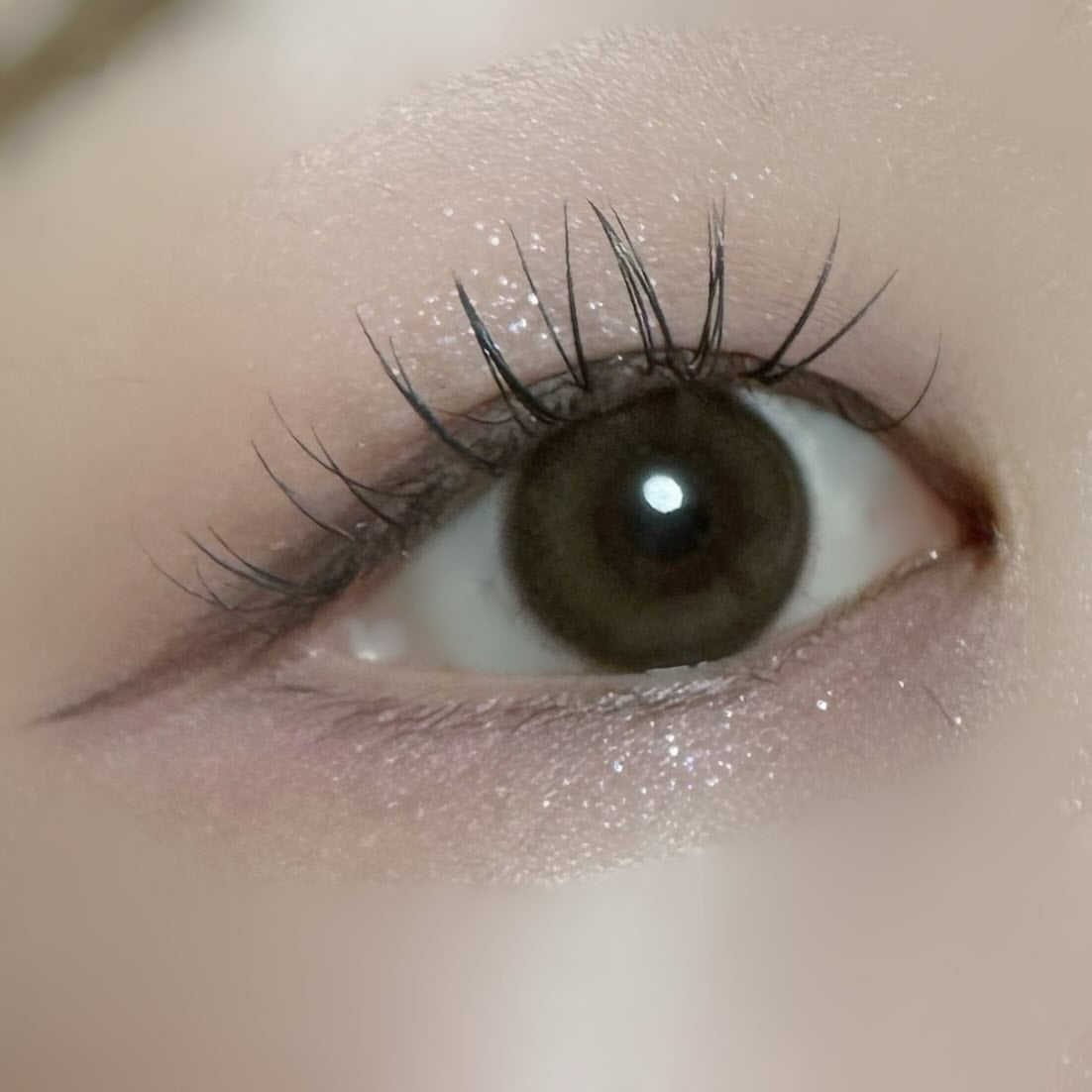 ケイト ポッピングシルエットシャドウ/KATE/アイシャドウパレットを使ったクチコミ(4枚目)