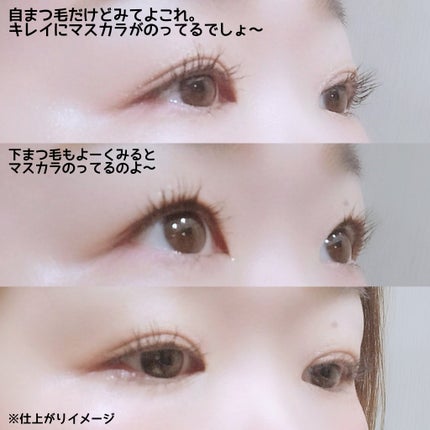 ミゼルエディ カールアップマスカラ/ミゼルエディ/マスカラを使ったクチコミ(6枚目)