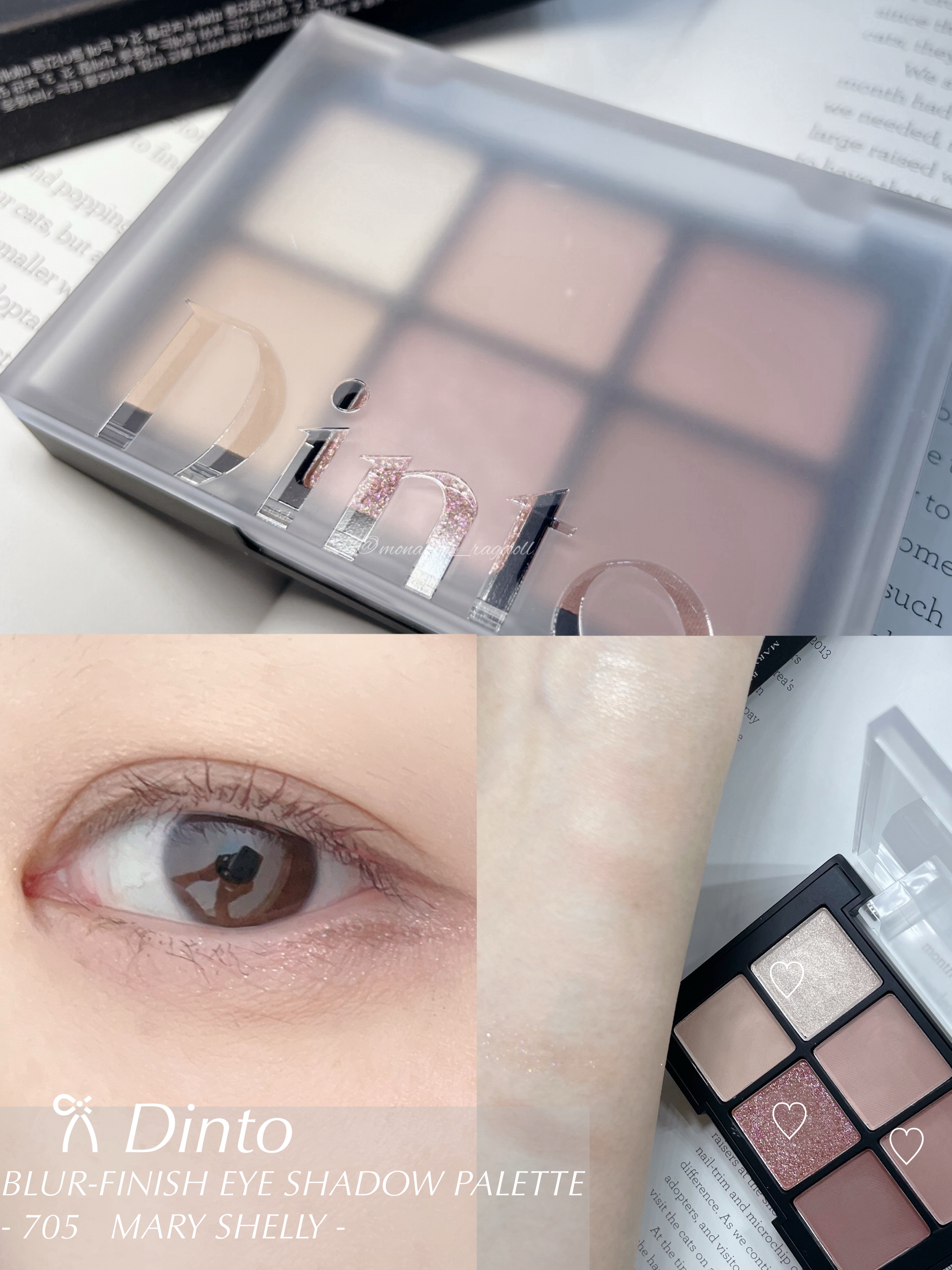 ブラーフィニシュシャドウパレット 705 メリー・シェリー/Dinto/アイシャドウパレットを使ったクチコミ（1枚目）