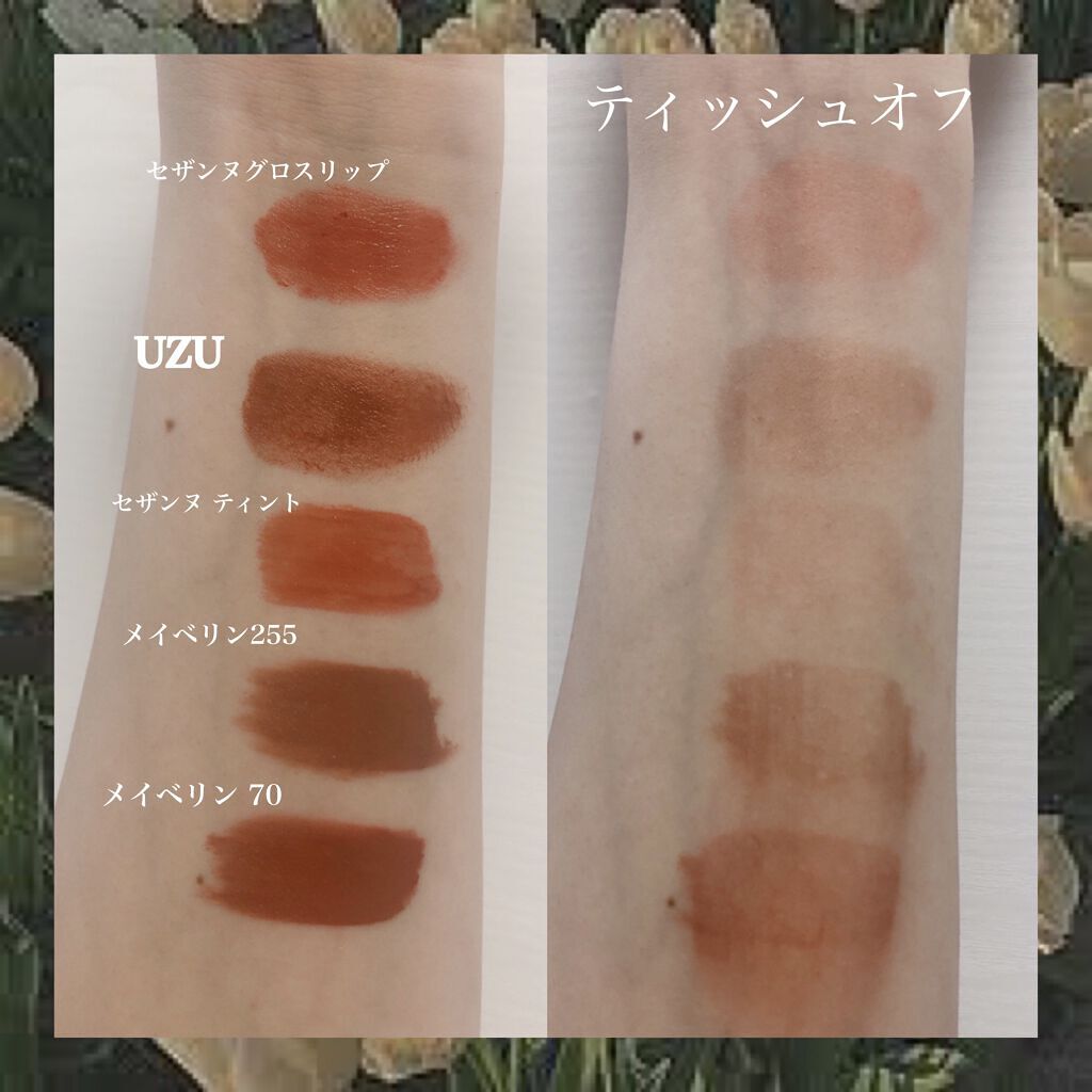 ラスティンググロスリップ/CEZANNE/口紅を使ったクチコミ（2枚目）