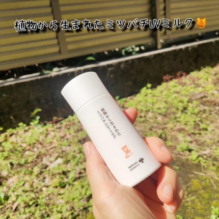 植物から生まれたミツバチUVミルク/アピセラピーコスメティクス/日焼け止めミルクを使ったクチコミ(2枚目)