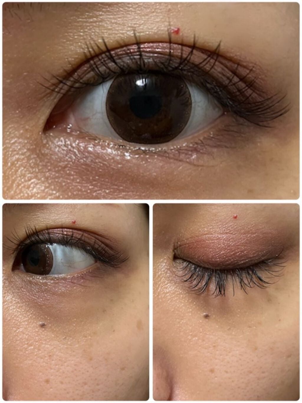 【旧】サンク クルール クチュール/Dior/アイシャドウパレットを使ったクチコミ(3枚目)