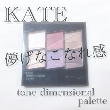 トーンディメンショナルパレット/KATE/メイクアップキットを使ったクチコミ（1枚目）