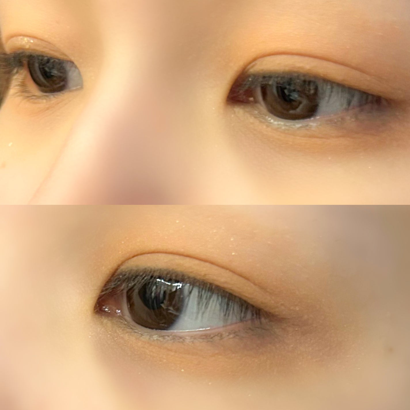 シャドウパレット/dasique/アイシャドウパレットを使ったクチコミ(5枚目)