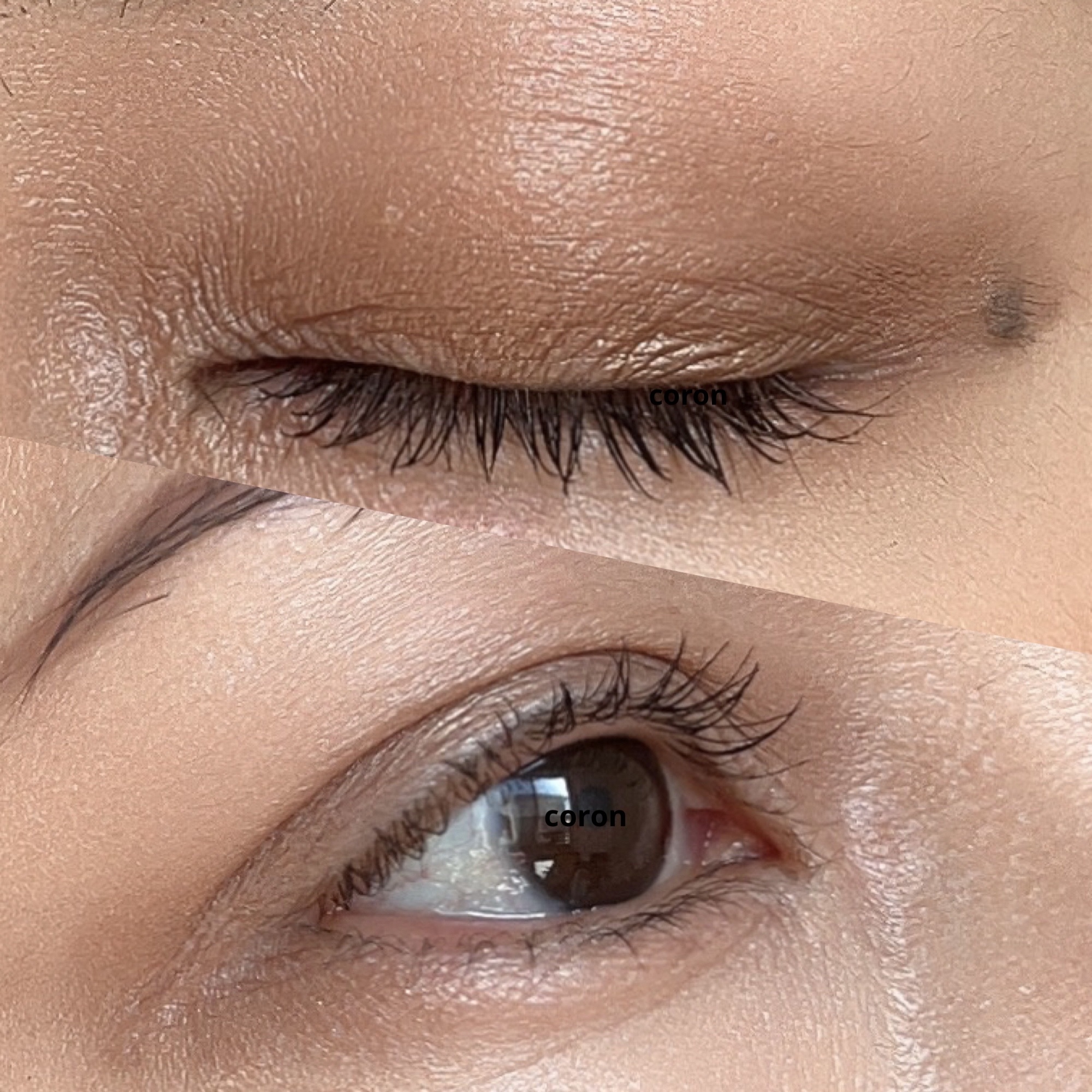 ディグニファイド リップス/Celvoke/口紅を使ったクチコミ（2枚目）