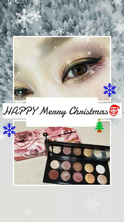 MOTHERSHIP PALETTES/PAT McGRATH LABS/アイシャドウパレットを使ったクチコミ(1枚目)