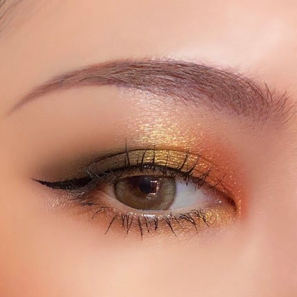 エクスプローラ12色 動物アイシャドウパレット/PERFECT DIARY/アイシャドウパレットを使ったクチコミ(6枚目)