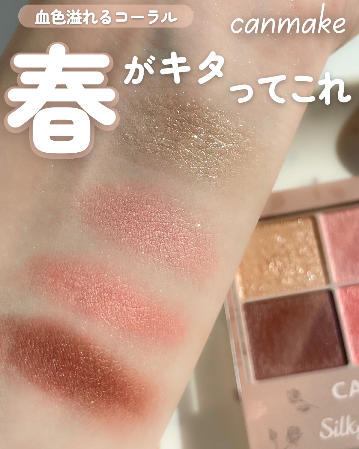 シルキースフレアイズ（マットタイプ）/キャンメイク/アイシャドウパレットを使ったクチコミ（1枚目）