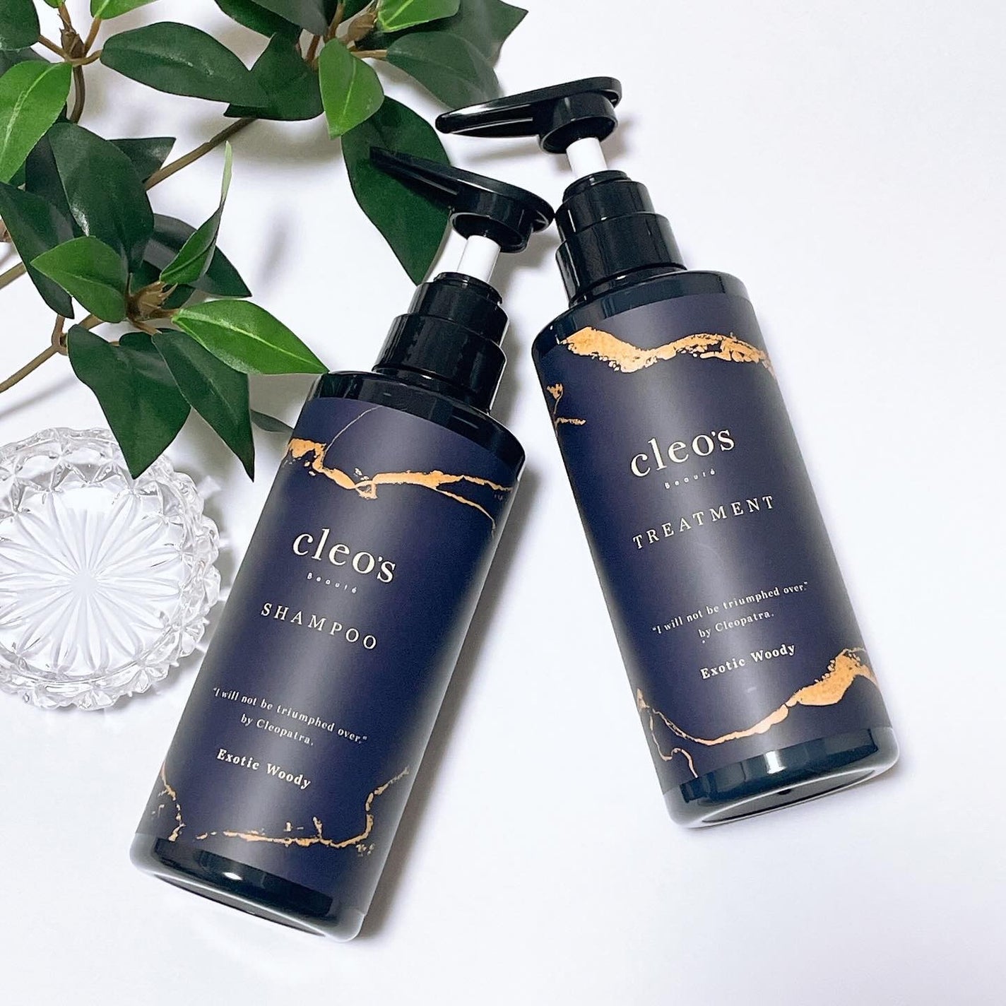 エクストラモイストシャンプー&リペアトリートメント/Cleo's Beauté/市販シャンプーを使ったクチコミ(2枚目)