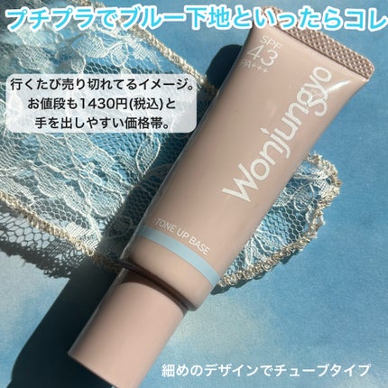 ウォンジョンヨ トーンアップベース NA/Wonjungyo/化粧下地を使ったクチコミ(2枚目)