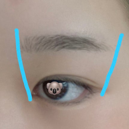 プレミア敏感肌用 Lディスポ/シック/シェーバーを使ったクチコミ(2枚目)