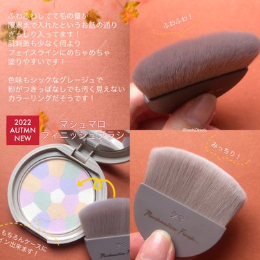 マシュマロフィニッシュパウダー　～Abloom～/キャンメイク/プレストパウダーを使ったクチコミ（2枚目）