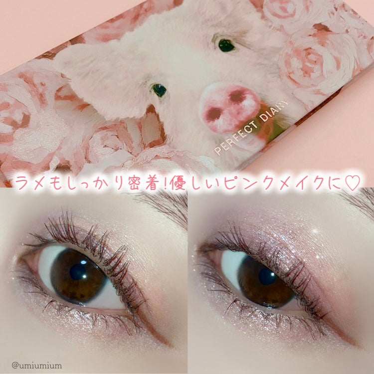 エクスプローラ12色 動物アイシャドウパレット|パーフェクト エクスプローラ12色 動物アイシャドウパレット|パーフェクト
