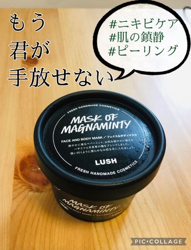 ラッシュ パワーマスク SPのクチコミ「【LUSHの大人気スキンケア、毛穴悩みにはこのパック☺️👌】
✔LUSH パワーマスクSP
✔.....」（1枚目）