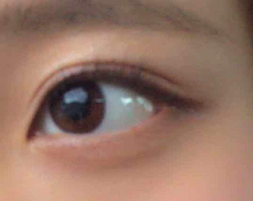 エルファー プロフェッショナル アイシャドウ/DAISO/アイシャドウパレットを使ったクチコミ(4枚目)