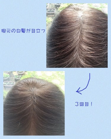 クロヴィア カラートリートメント/ルルシア/洗い流すヘアトリートメントを使ったクチコミ（3枚目）