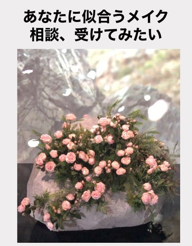 🌷あなたに似合うアイシャドウ提案させてください🌷


アイシャドウにこだわって、早5年……
年に10種類くらいのパレットを買っては使い遊んできました。

身内で2人ほどにアドバイスをして、
おばあちゃん