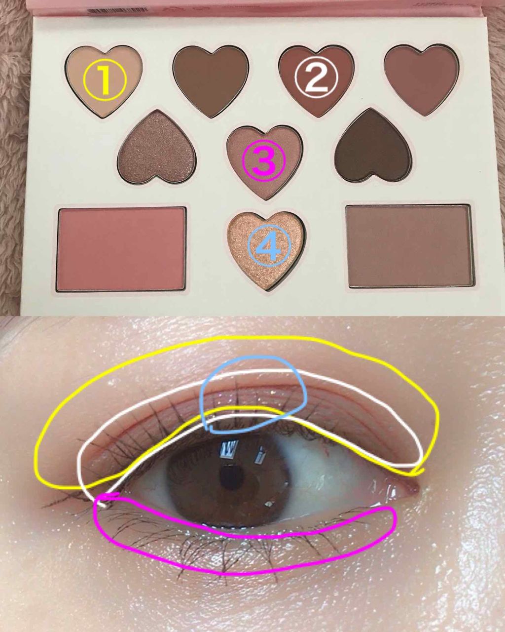 カラーフィルターシャドウパレット(ラインフレンズエディション)/MISSHA/アイシャドウパレットを使ったクチコミ(3枚目)