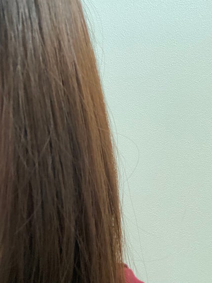 髪がうるおう精油シャンプー/トリートメント しっとり シャンプー本体 480ml/kokoroe/シャンプー・コンディショナーの画像