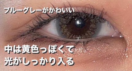 1DAY Refrear elebelle/Refrear/ワンデー(1DAY)カラコンを使ったクチコミ(4枚目)