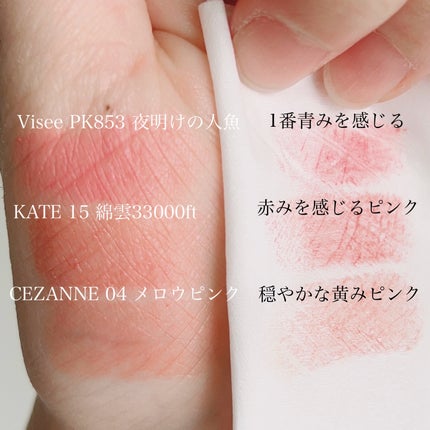 ケイト リップモンスター/KATE/口紅を使ったクチコミ(6枚目)