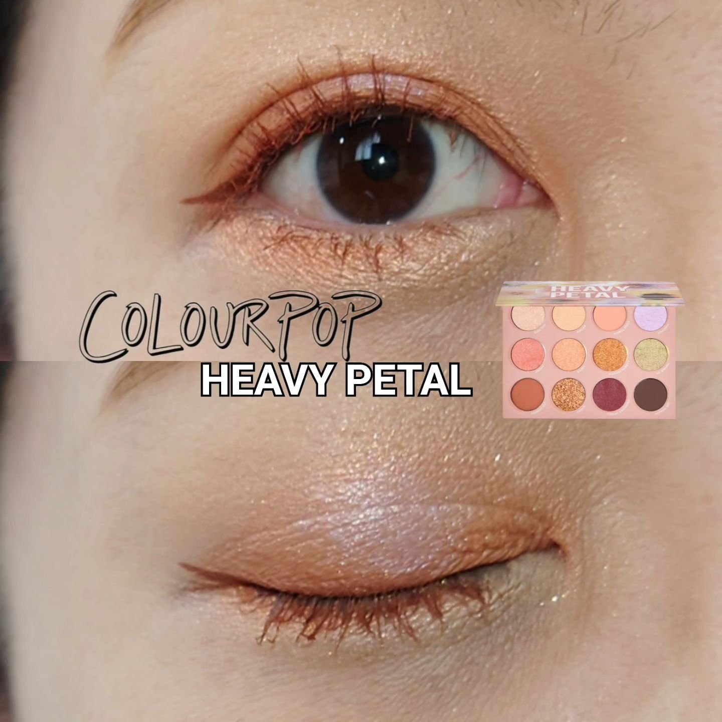 HEAVY PETAL/ColourPop/アイシャドウパレットを使ったクチコミ（1枚目）