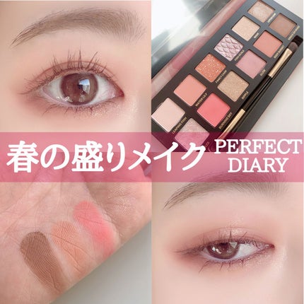 エクスプローラ12色 動物アイシャドウパレット/PERFECT DIARY/アイシャドウパレットを使ったクチコミ(1枚目)