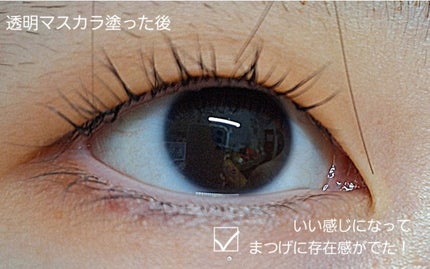 クイックラッシュカーラー/キャンメイク/マスカラ下地を使ったクチコミ(5枚目)