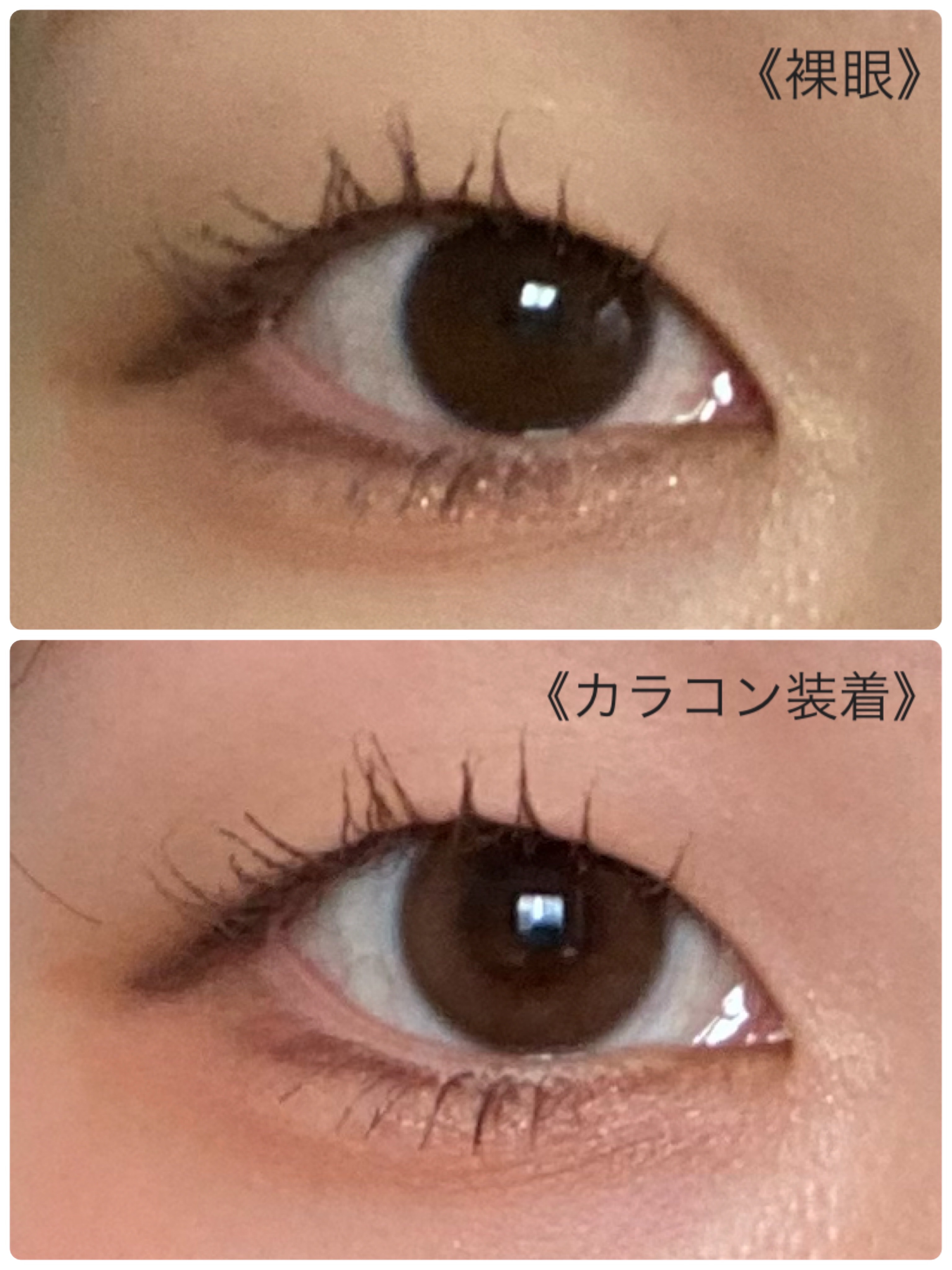 LOUER LOVE CAMEL（ラブキャメル）/LOUER/カラーコンタクトレンズを使ったクチコミ（2枚目）