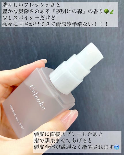 セルヴォーク フリージング ヘッドショット ドーンフォレスト/Celvoke/頭皮ローションを使ったクチコミ(4枚目)