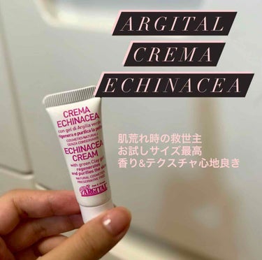 お試しサイズが最高
肌荒れが酷かった時にアルジタルのエキナセアクリームの評判を見て買ってみました。
なんとこれお試しで500円！楽天でも買えるし、コスメキッチンにもありました。
これは買わないわけがない