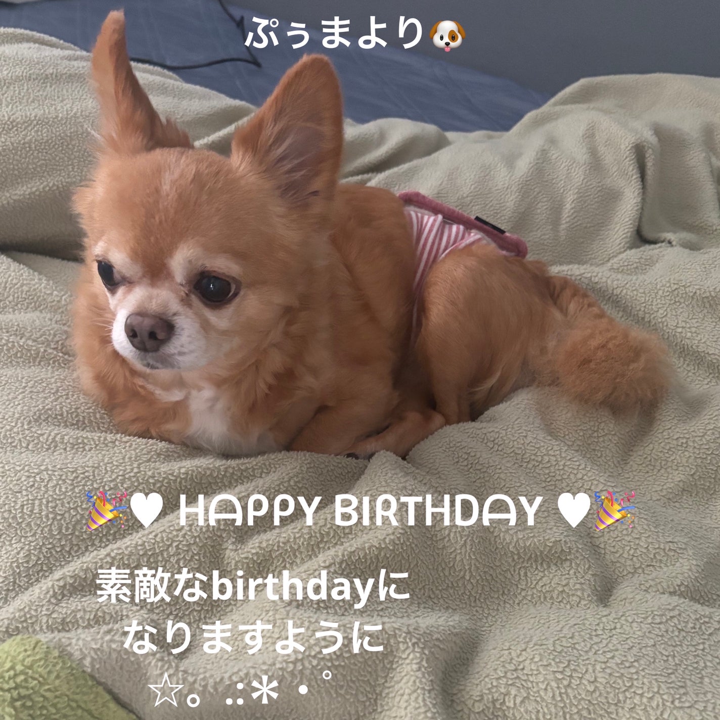 ミニネイル/パラドゥ/マニキュアを使ったクチコミ(6枚目)