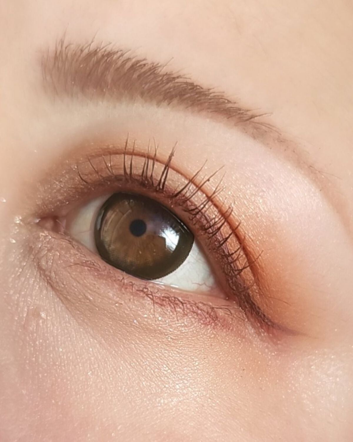 シルキースフレアイズ(マットタイプ)/キャンメイク/アイシャドウパレットを使ったクチコミ(5枚目)