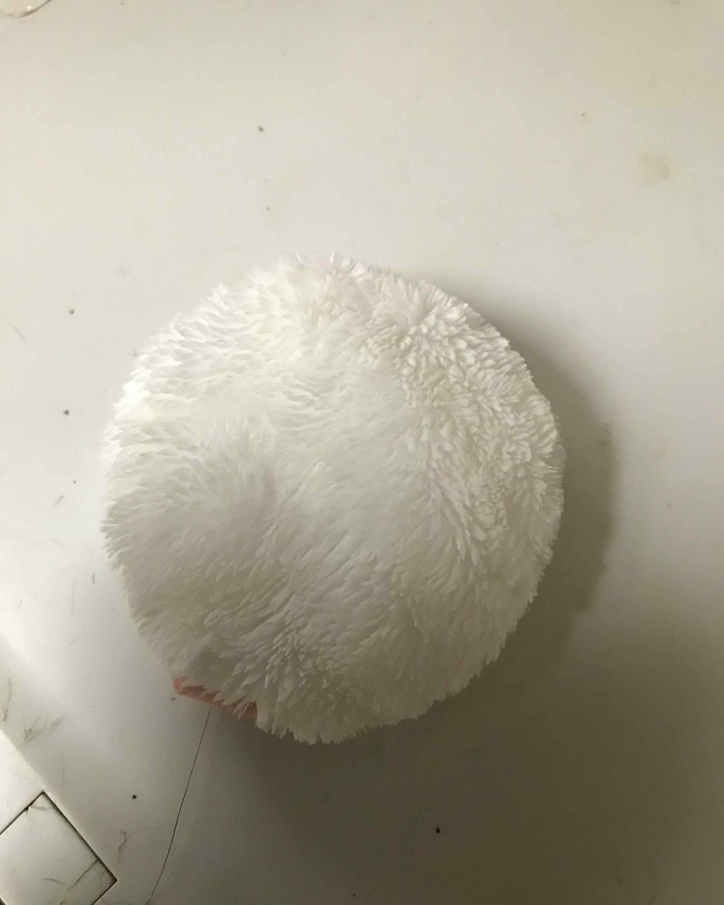 パフ・スポンジ専用洗剤/DAISO/その他化粧小物を使ったクチコミ(2枚目)