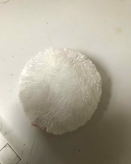 パフ・スポンジ専用洗剤/DAISO/その他化粧小物を使ったクチコミ(2枚目)