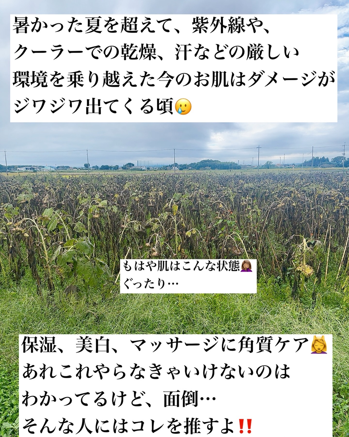 ヴィーガンリポソームレチノールセラム/SKIN&LAB/美容液を使ったクチコミ（2枚目）