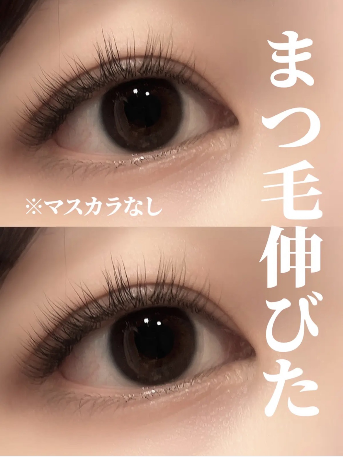 ラッシュアディクト アイラッシュコンディショニングセラム/soaddicted/まつげ美容液を使ったクチコミ（3枚目）