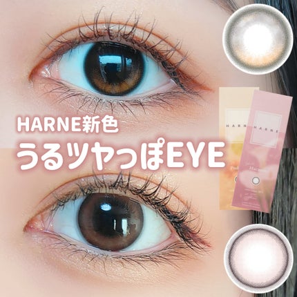 HARNE 1day/HARNE/ワンデー(1DAY)カラコンを使ったクチコミ(1枚目)