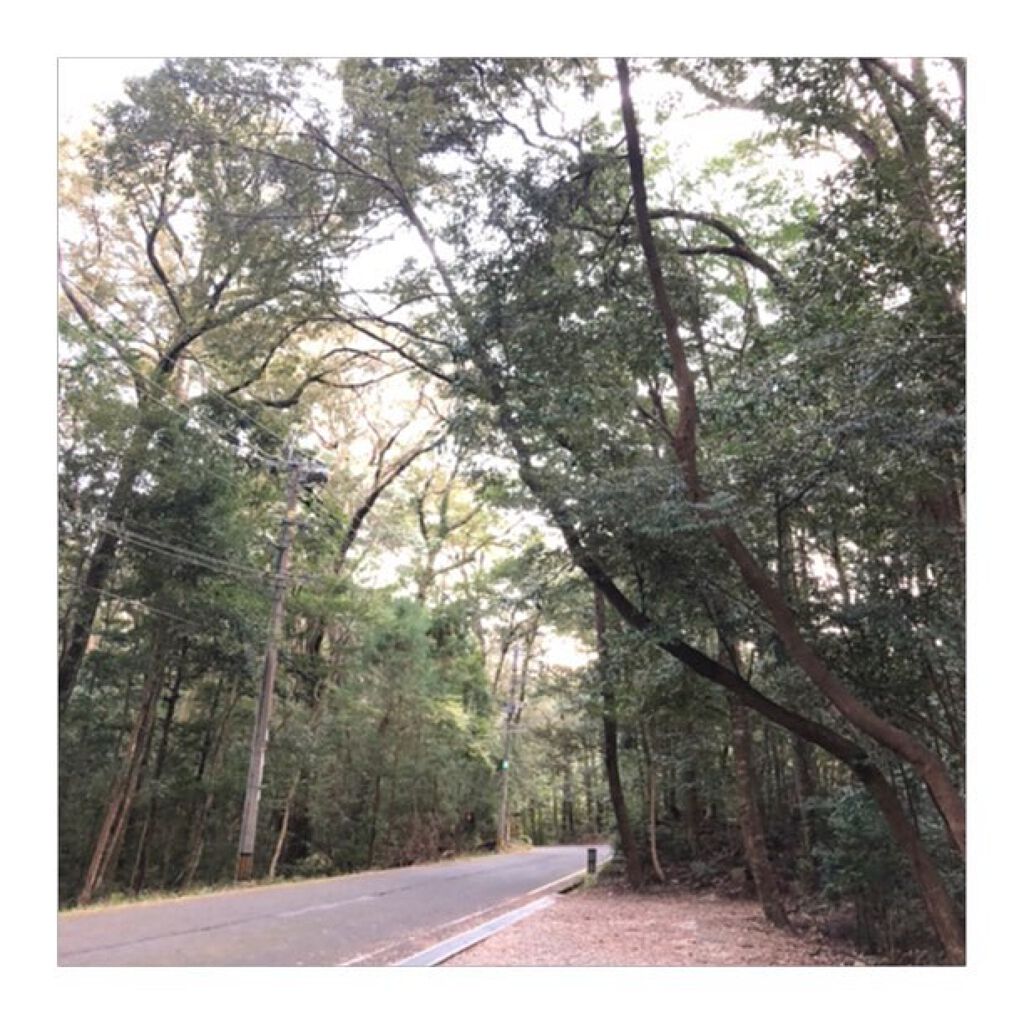 ネイルホリック/ネイルホリック/マニキュアを使ったクチコミ（3枚目）