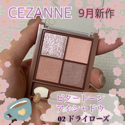 ビタートーンアイシャドウ/CEZANNE/パウダーアイシャドウを使ったクチコミ(1枚目)