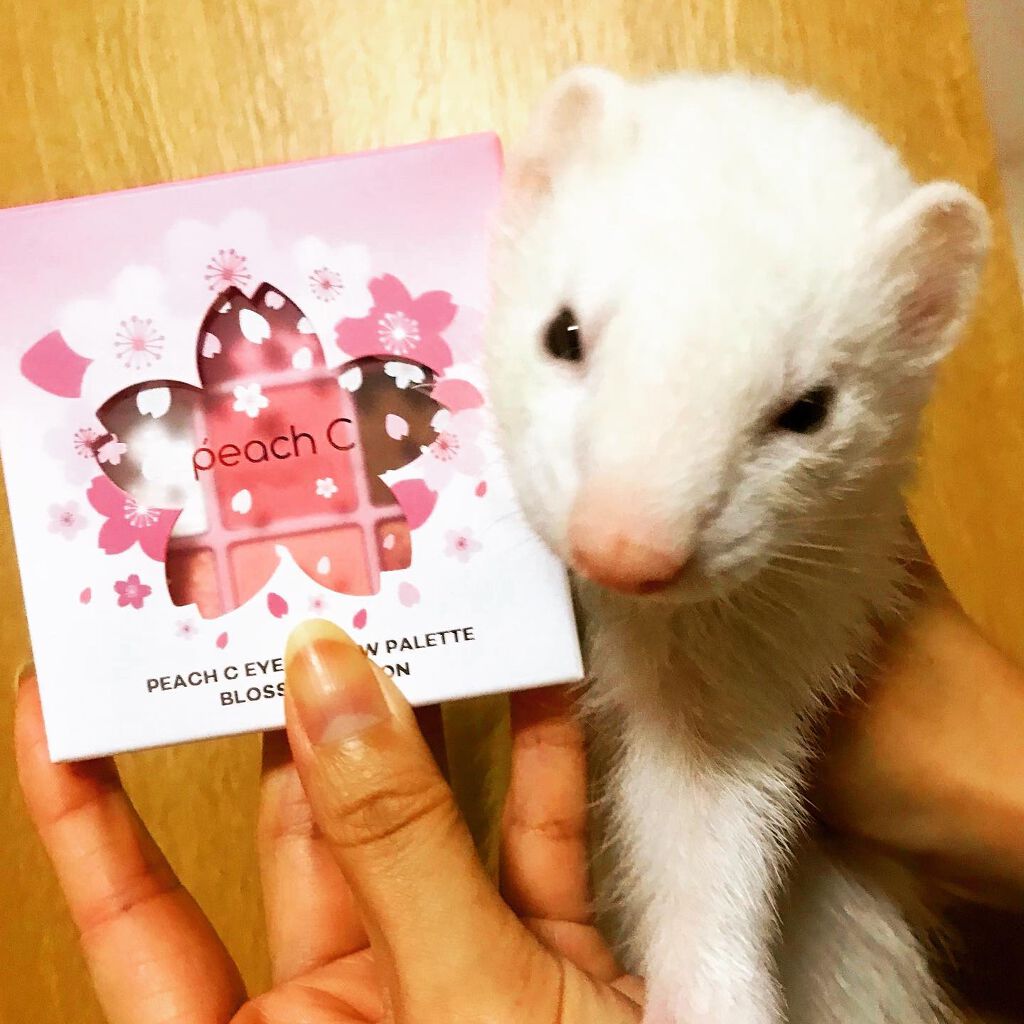 アイシャドウパレット ブロッサムエディション/Peach C/アイシャドウパレットを使ったクチコミ（2枚目）